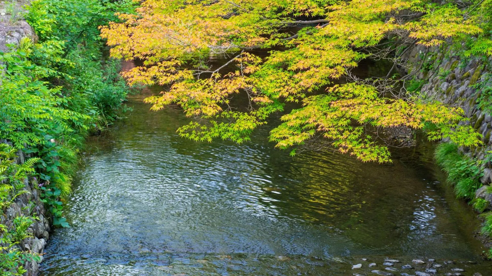 Roku Kyoto, Lxr Hotels & Resorts Kyoto